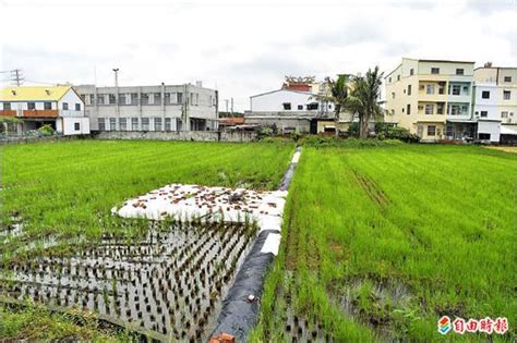 百人骨灰塚|百人塚開挖 橋頭「六班長」上百遺骨出土